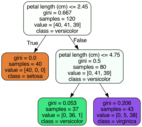 A decision tree trained on iris dataset